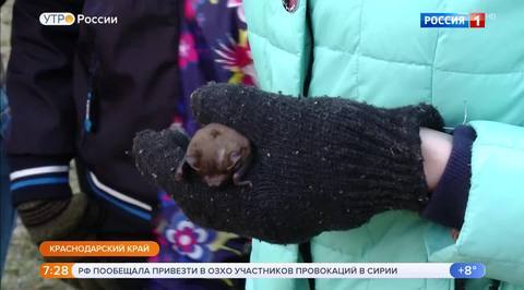 Эфир от 17.04.2018