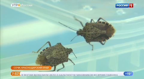 Эфир от 18.05.2018