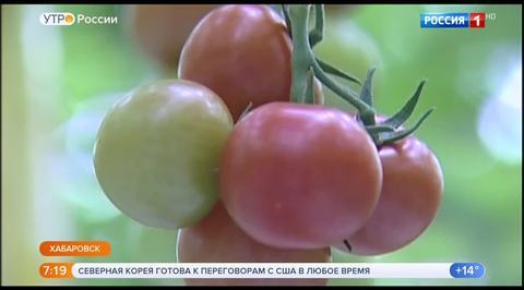 Эфир от 25.05.2018
