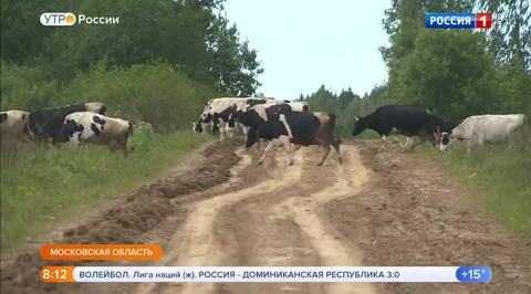 Эфир от 13.06.2018