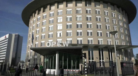 The OPCW is Now a Cartel: UK Assets Run the Chemical Weapons Division Through and Through