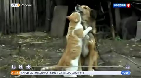 Эфир от 19.07.2018