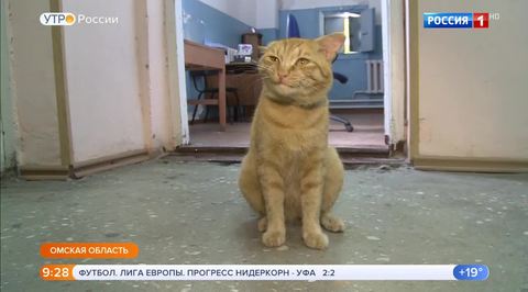 Эфир от 17.08.2018