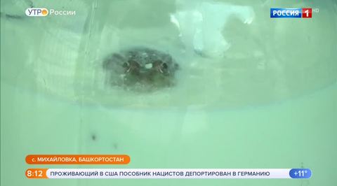 Эфир от 22.08.2018