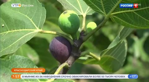 Эфир от 30.08.2018