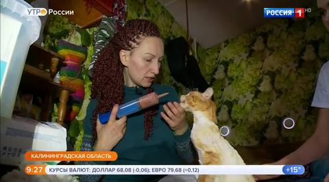 Эфир от 31.08.2018