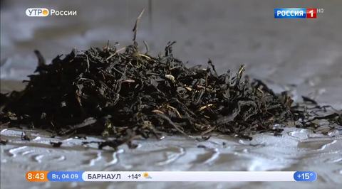 Эфир от 04.09.2018