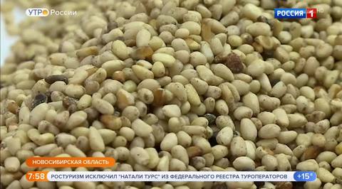 Эфир от 04.09.2018