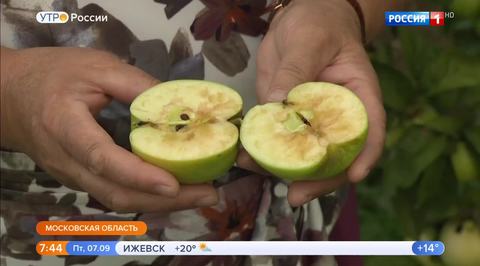 Эфир от 07.09.2018