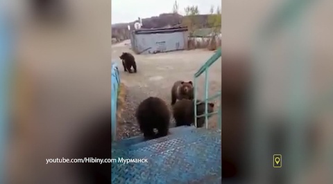 Эфир от 13.10.2018