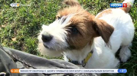 Эфир от 20.10.2018