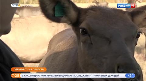 Эфир от 29.10.2018