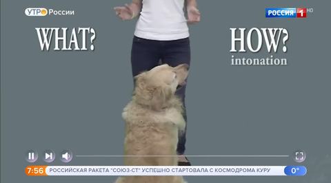 Эфир от 07.11.2018