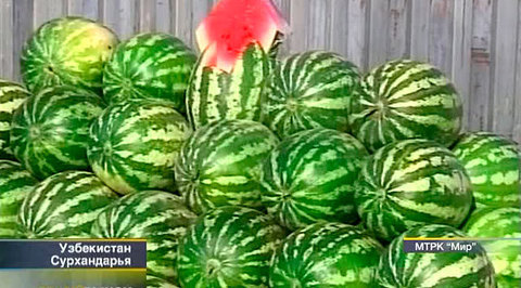 Эфир от 25.08.2012