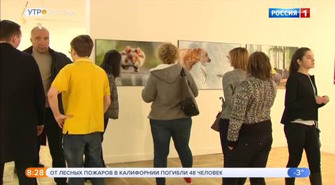 Эфир от 14.11.2018