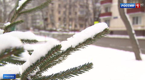 Москву ждет потепление и скачок атмосферного давления