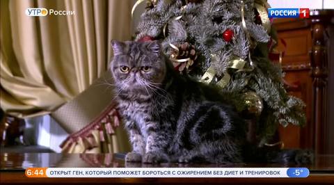 Эфир от 08.12.2018