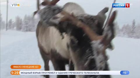 Эфир от 17.12.2018 (09:15)