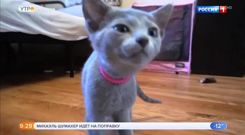 Эфир от 18.12.2018 (09:15)