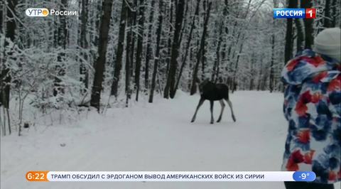 Эфир от 24.12.2018 (05:00)