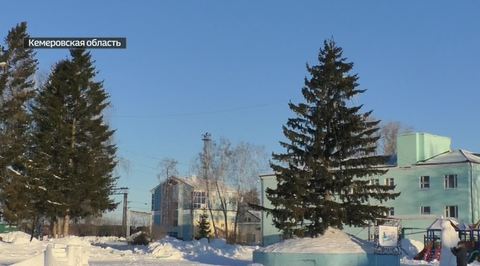 Кемеровские чиновники спилили ель для новогоднего праздника на частном участке