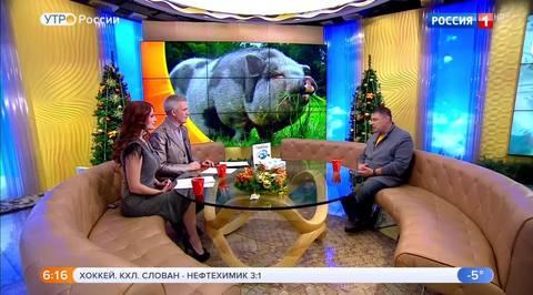 Эфир от 29.12.2018 (05:00)