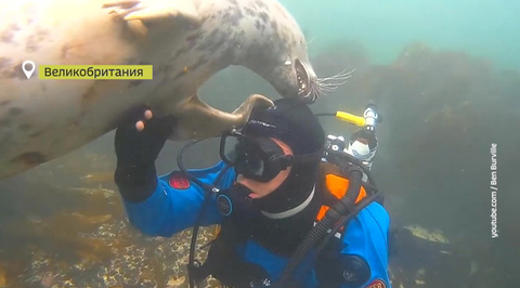 Эфир от 30.12.2018