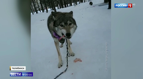 Эфир от 07.01.2019