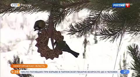 Эфир от 14.01.2019 (09:25)