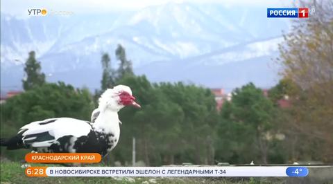 Эфир от 17.01.2019 (05:00)