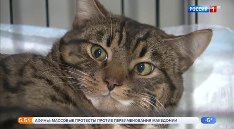Эфир от 21.01.2019 (05:00)