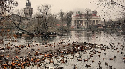 Павильоны в Московском зоопарке возобновили работу для посетителей