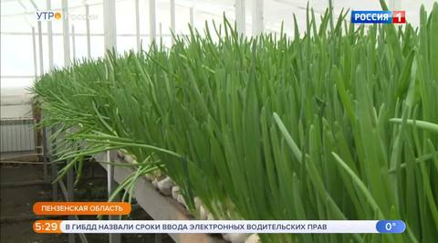 Эфир от 26.02.2019 (05:00)