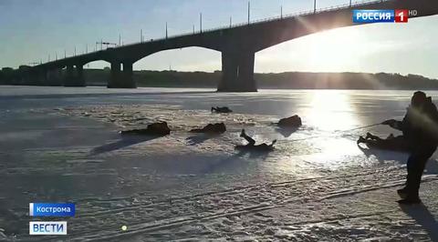 В Костроме бывший полицейский спас провалившихся под лед подростков