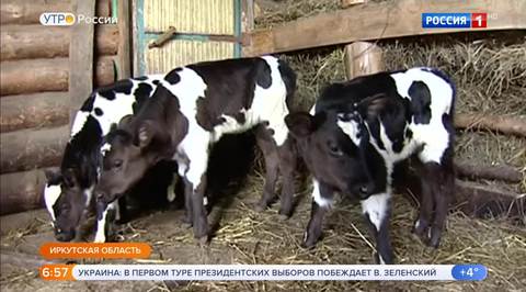 Эфир от 01.04.2019 (05:00)