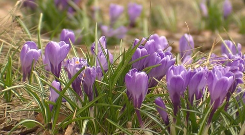 Эфир от 07.04.2019