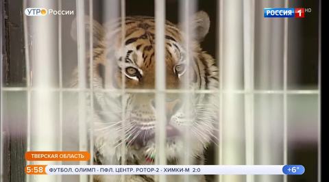 Эфир от 22.04.2019 (05:00)
