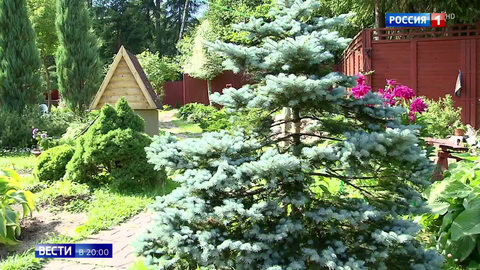 Эфир от 18.06.2019