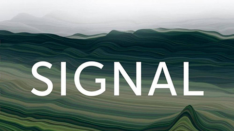 Фестиваль Signal: что будет в этом году