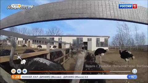 Эфир от 05.09.2019 (05:00)
