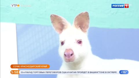 Эфир от 05.09.2019 (05:00)