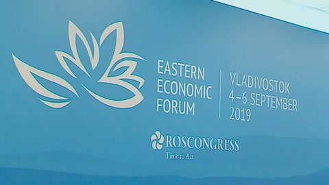 Делегация региона в рамках экономического форума встретилась с фармакологами из Индии