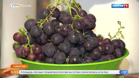 Эфир от 06.09.2019 (05:00)