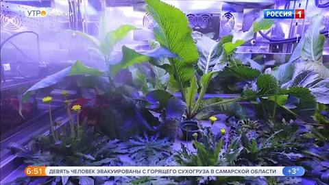 Эфир от 27.09.2019 (05:00)