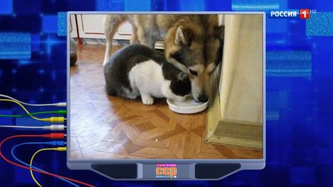 Эфир от 10.11.2019