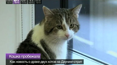 Эфир от 20.10.2012