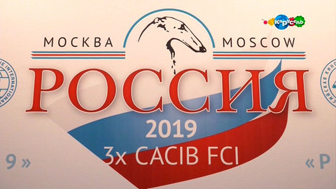 Эфир от 28.11.2019