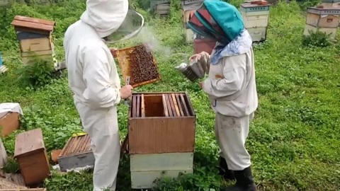 Семья Перовых