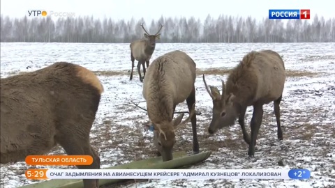 Эфир от 13.12.2019 (05:00)