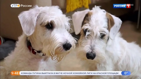 Эфир от 26.12.2019 (09:25)